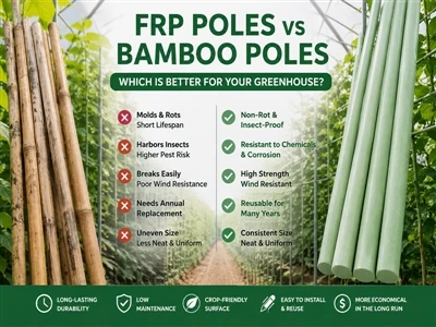 Canllaw Hanfodol i Ffermwyr - Pwyliaid FRP Vs. Pwyliaid Bambŵ: Pa rai i'w Dewis?